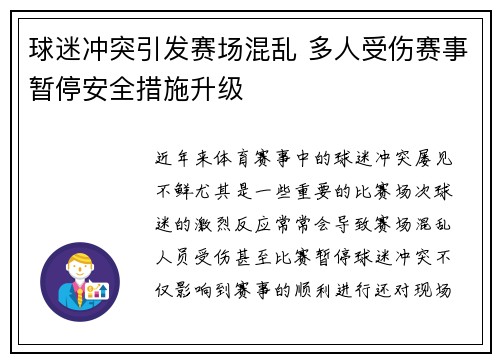 球迷冲突引发赛场混乱 多人受伤赛事暂停安全措施升级