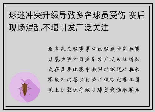 球迷冲突升级导致多名球员受伤 赛后现场混乱不堪引发广泛关注