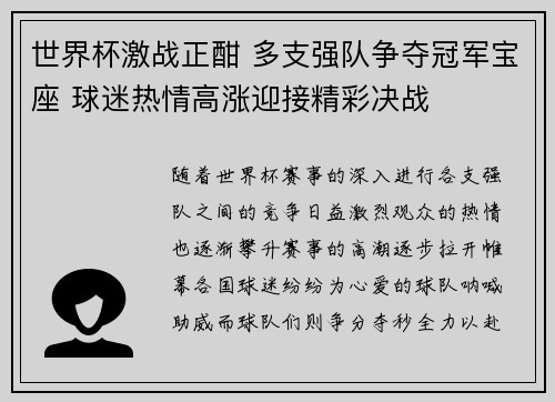 世界杯激战正酣 多支强队争夺冠军宝座 球迷热情高涨迎接精彩决战